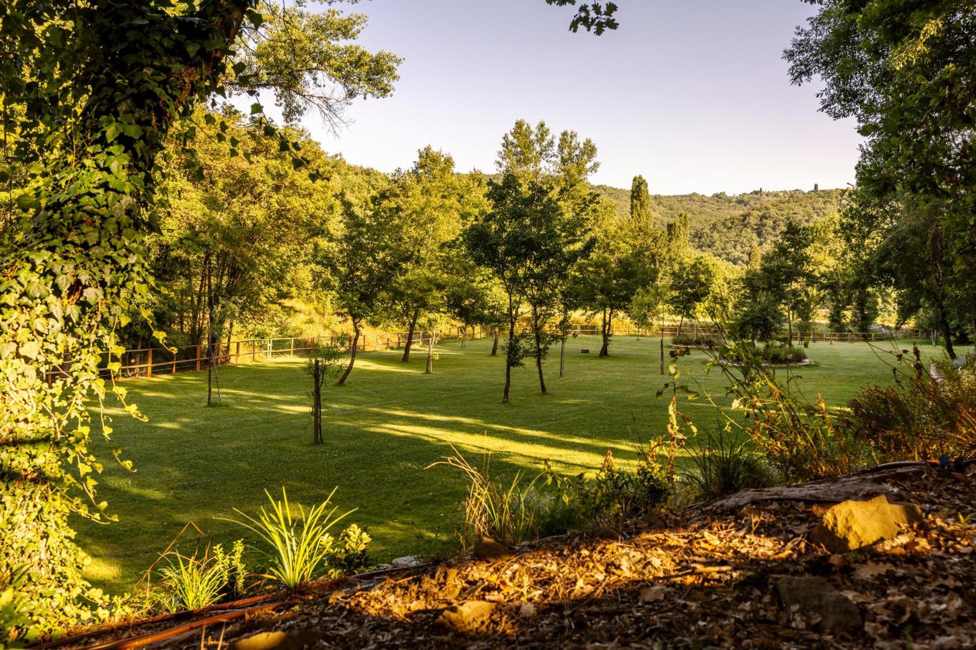 Podere La Casina Country Chic Rigomagno Bagian luar foto